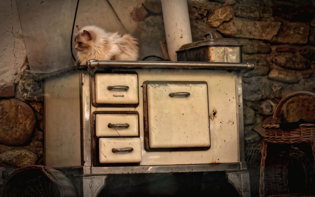 a cat sits on top of an old stove.