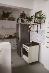 A white kitchen with a stove and a potted plant.