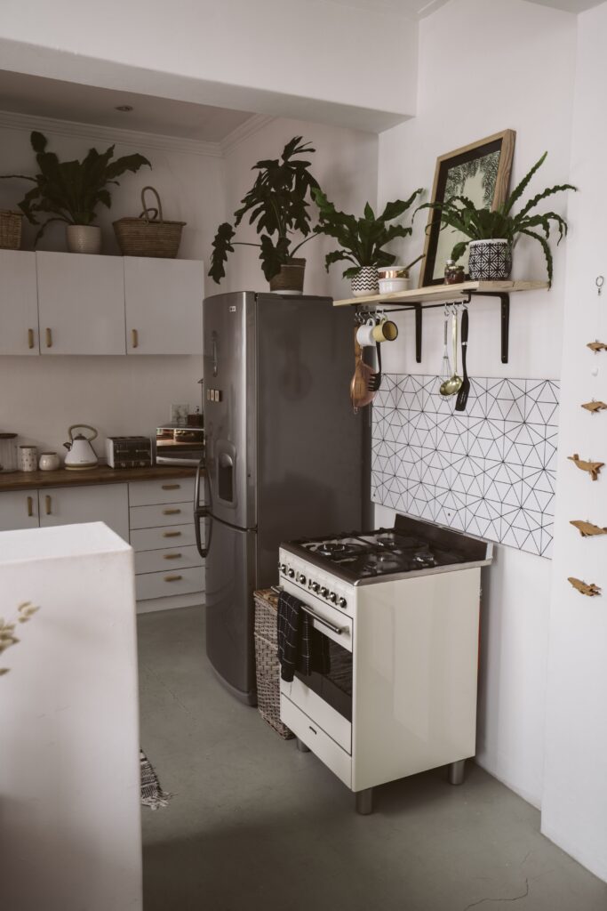 A white kitchen with a stove and a potted plant.